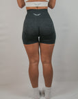 Contour Seamless Shorts (Charcoal)